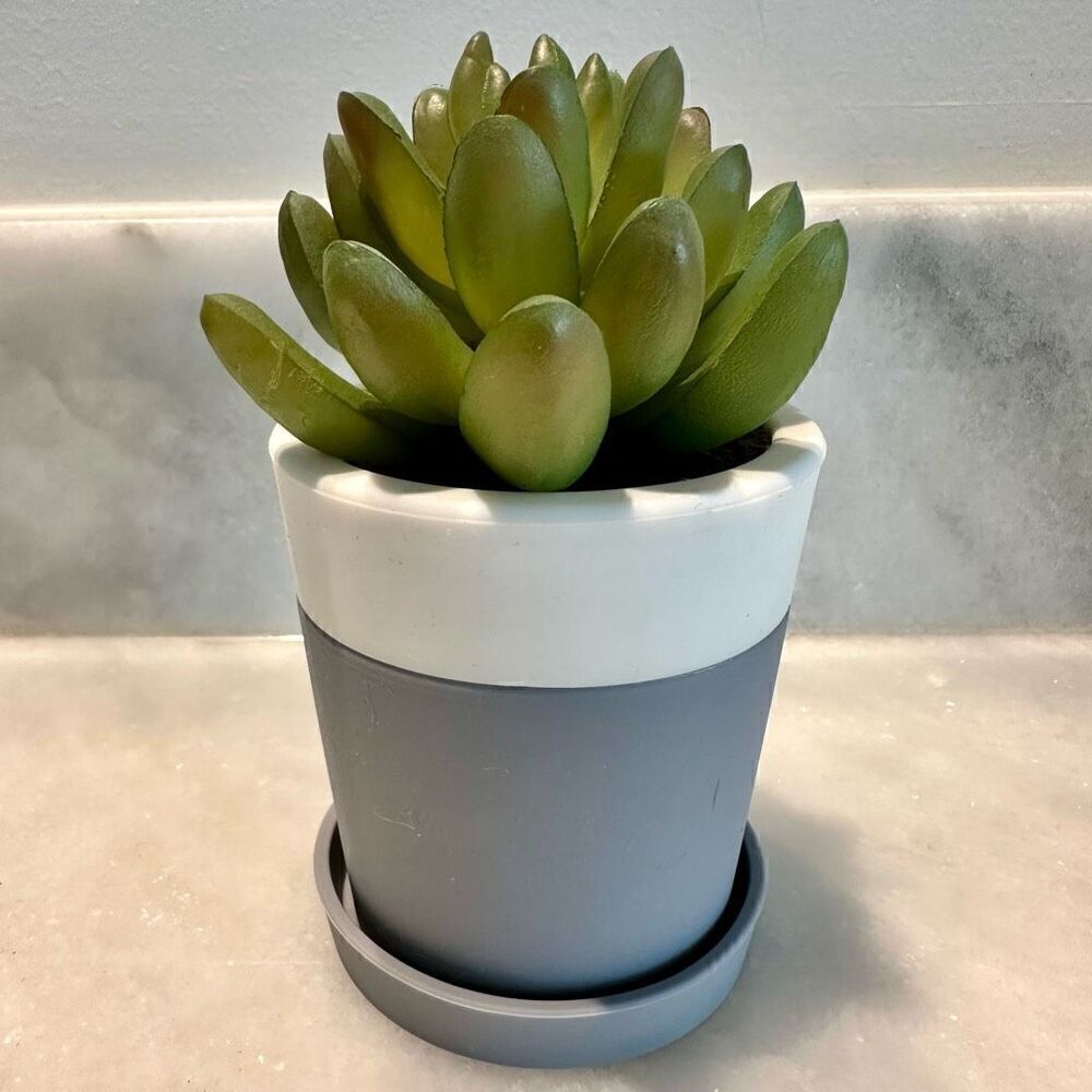 Very Rare Bath and Bodyworks Lifelike Cactus Succulent Plant Pocket Bac Holder D